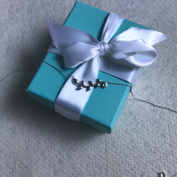 Tiffany & Co. Jewelry - Tiffany & Co. Necklace w/ original box